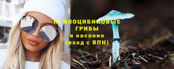 прущие грибы Баксан