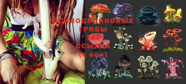 гашиш Аркадак